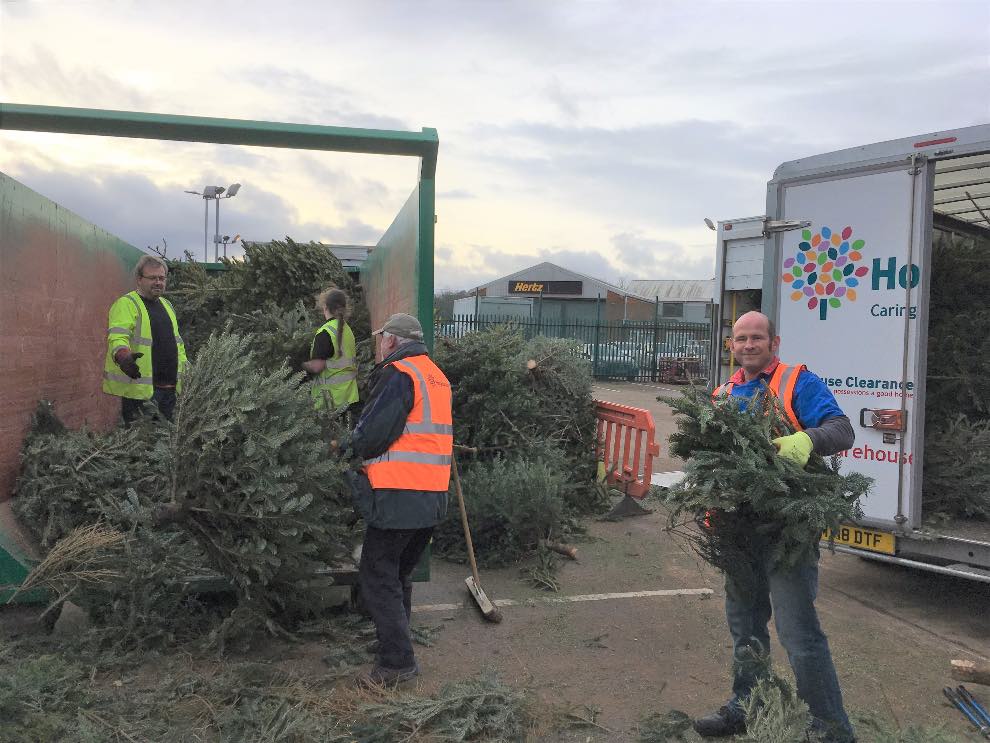 University and Hospiscare to recycle Christmas trees The Exeter Daily